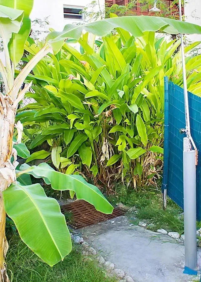 Studio Cosy A Sainte Anne 24M² Avec Piscine Partagee Apartment Sainte-Anne (Grande-Terre)